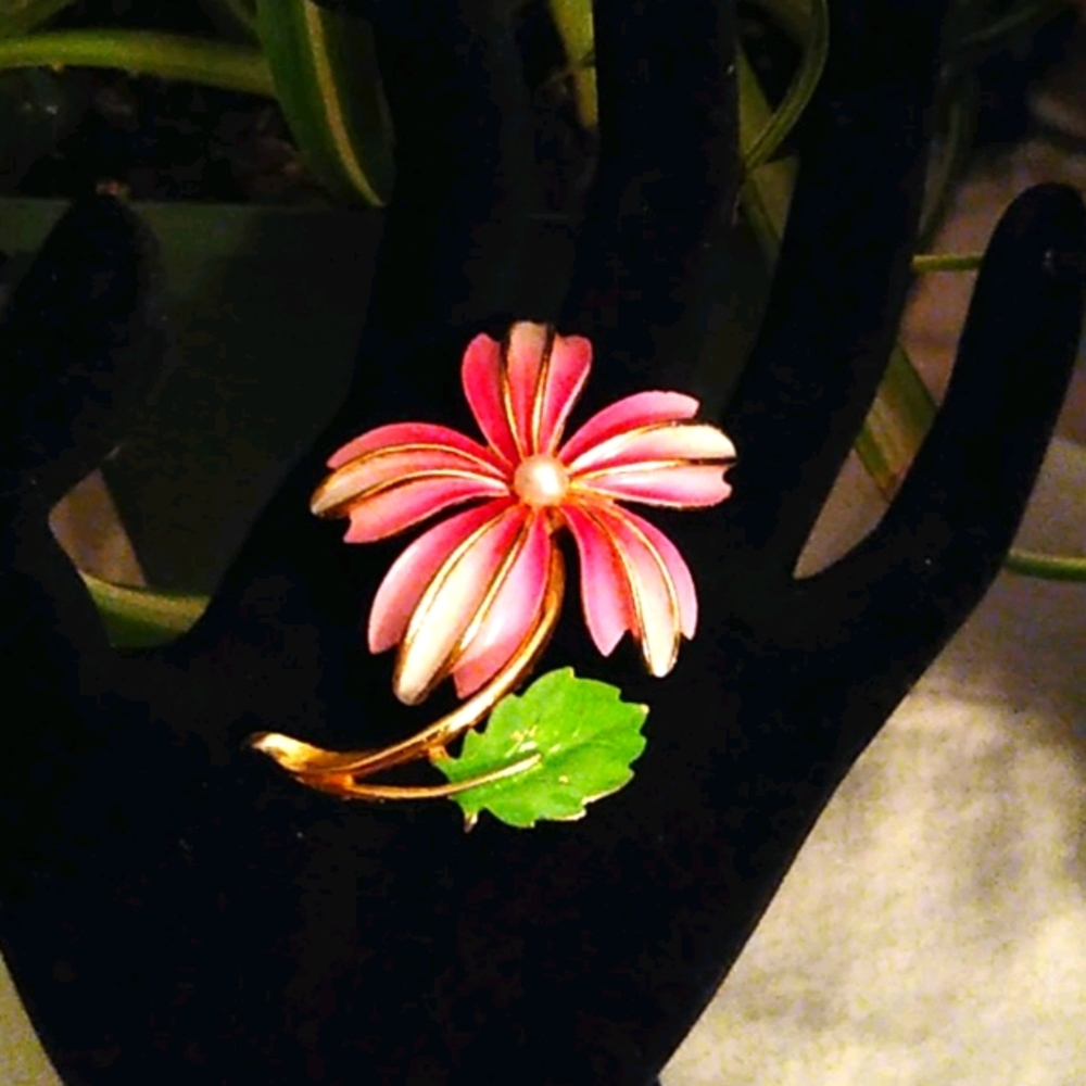 Mujirushi brooch 🌺